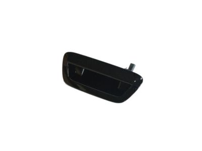 Jeep 5VF92KXJAC HANDLE Liftgate
