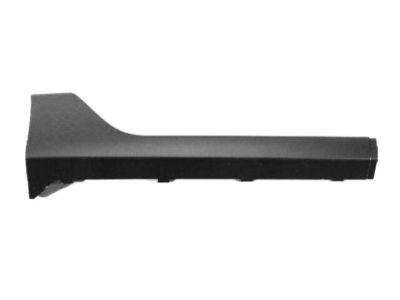Chrysler YK04TZZAB Rocker Molding