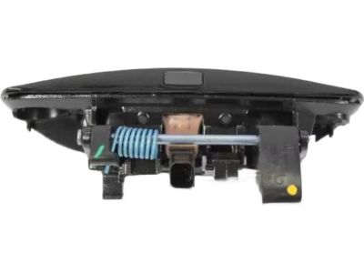 Mopar 1MZ85DX8AG Handle Front Door Exterior