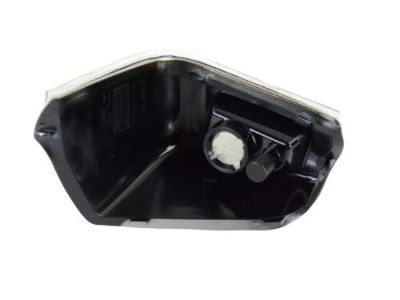 Dodge 68010001AA Repeater Lamp