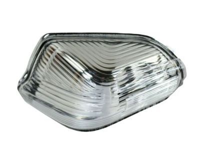Dodge 68010001AA Repeater Lamp