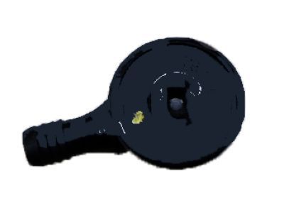 Jeep 68003621AA Check Valve