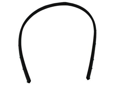 Jeep 55394043AE Lower Weatherstrip