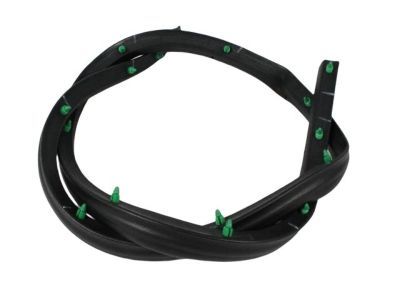Jeep 55394043AE Lower Weatherstrip