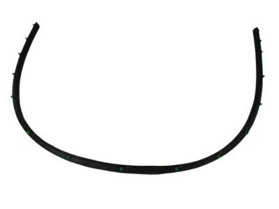 Jeep 55394043AE Lower Weatherstrip