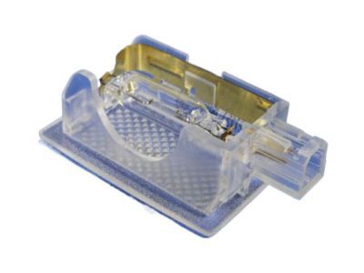Dodge 4608528AC LAMP Courtesy