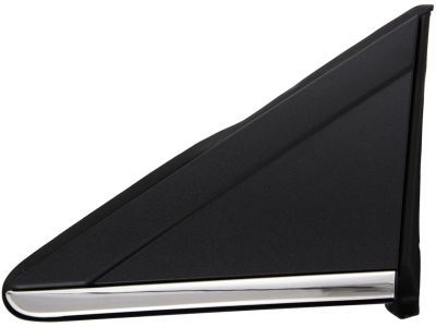 Dodge 1BE431XFAA APPLIQUE MIRROR FLAG