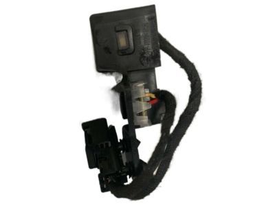 Jeep 68193643AC LAMP Courtesy