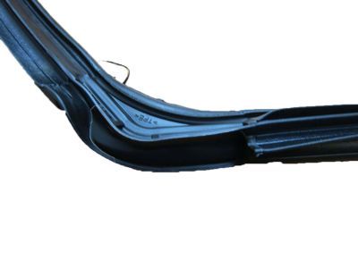 Jeep 55395274AM WEATHERSEAL DOOR TO BODY FRONT full DOOR