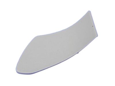 Dodge 5NP60DW1AA COVER Release Handle Bezel