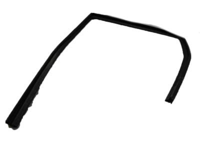 Jeep 55399189AE WEATHERSTRIP Rear Door Glass Run