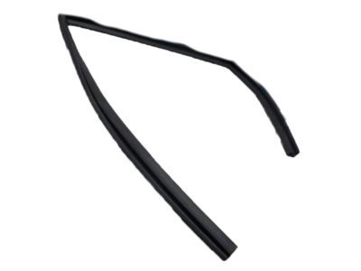 Jeep 55399189AE WEATHERSTRIP Rear Door Glass Run
