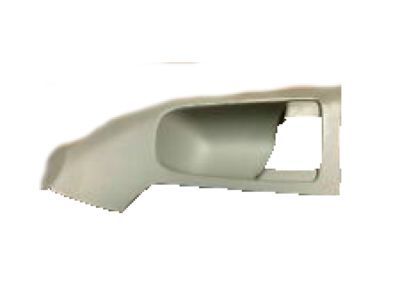 Jeep 1DF95BDAAE Handle Bezel