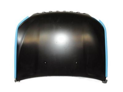 Jeep 68290450AD HOOD