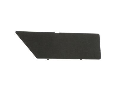 Ram 1HS07DX9AA Access Cover