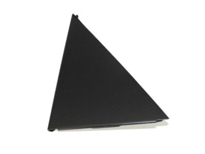 Chrysler 4805819AC APPLIQUE Rear Door