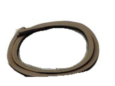 Chrysler Concorde Door Seal - TE72HD5AE