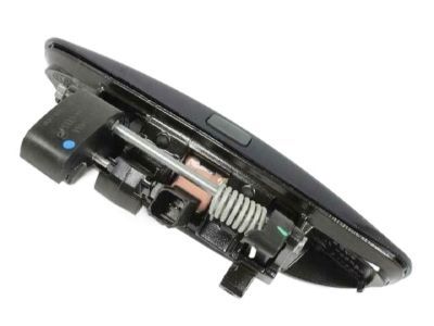 Dodge 1MZ84KBXAJ HANDLE Front Door Exterior