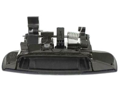 Dodge 1MZ84KBXAJ HANDLE Front Door Exterior