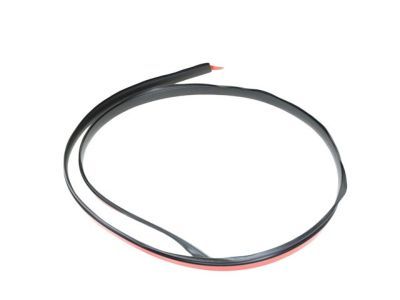 Jeep 55079291AD Roof Weatherstrip