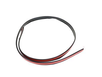 Jeep 55079291AD Roof Weatherstrip
