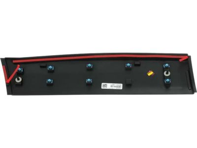 Mopar 6VX65TZZAB Molding Rear Door, Driver Side