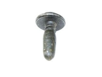 Jeep 6035217 Lower Cladding Screw