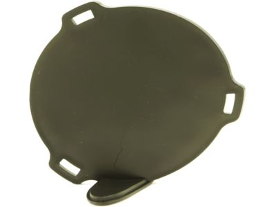 Chrysler 5303888AB Lamp Cover