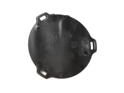 Chrysler 5303888AB Lamp Cover