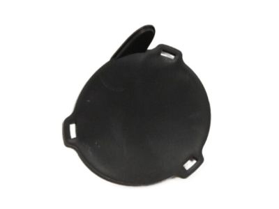 Chrysler 5303888AB Lamp Cover