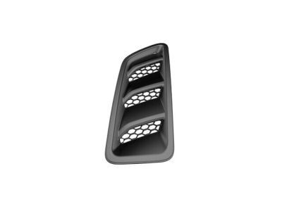 Mopar 68293749AA Bezel Hood Air Inlet