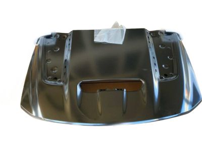 Mopar 68442701AC Hood