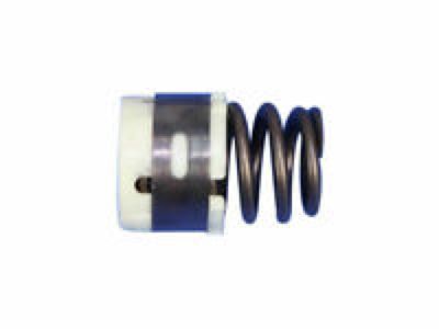 Jeep 53021775AA SPRING Valve