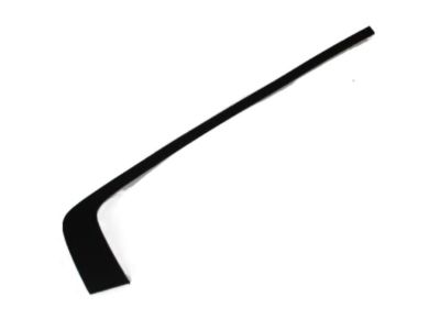 Dodge 57010506AI MOLDING Day Light Opening Rear Door