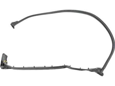 Mopar 68229643AA Weatherstrip Cargo Door Door Mounted