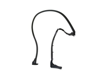 Mopar 68229643AA Weatherstrip Cargo Door Door Mounted