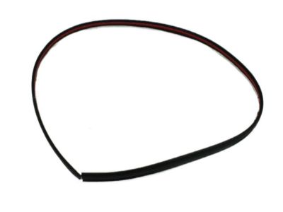 Dodge WU04RXFAE MOLDING Roof