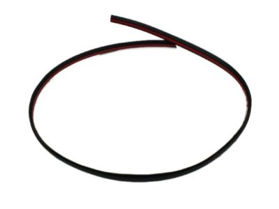 Dodge WU04RXFAE MOLDING Roof