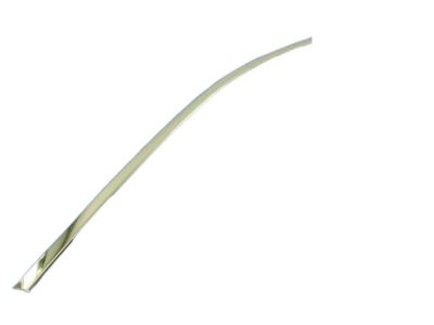 Chrysler 57010364AL MOLDING Day Light Opening Front Door