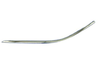 Chrysler 57010364AL MOLDING Day Light Opening Front Door