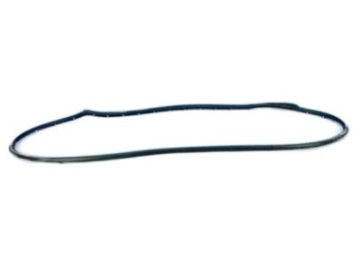 Jeep Door Seal - 55399213AE