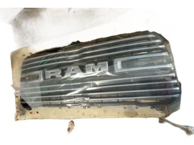 Mopar 68404965AA Grille Radiator