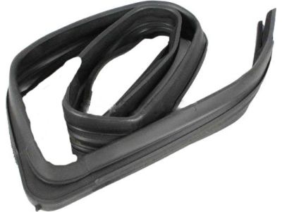 Mopar 55395729AC Weatherstrip, Door Glass Running Channel Front Door