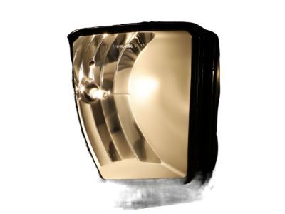 Mopar 68104820AD Lamp Front Fog