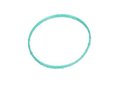 Chrysler Throttle Body Gasket - 4884998AA
