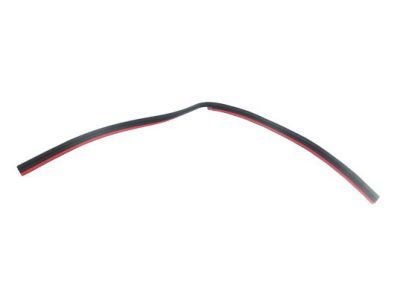 Dodge Viper Weather Strip - 68143006AC
