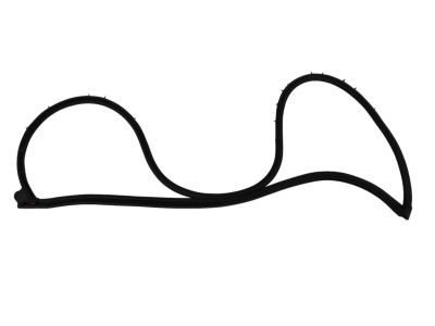 Mopar 68039974AF Weatherstrip Front Door Mounted