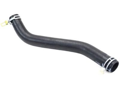 Ram Radiator Hose - 55056848AB