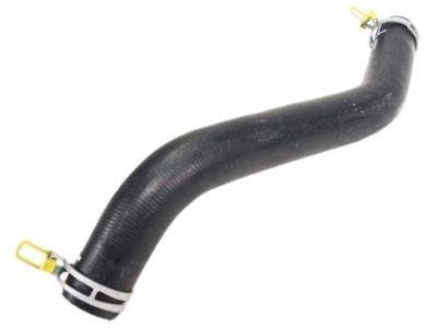 Ram Radiator Hose - 55056848AB