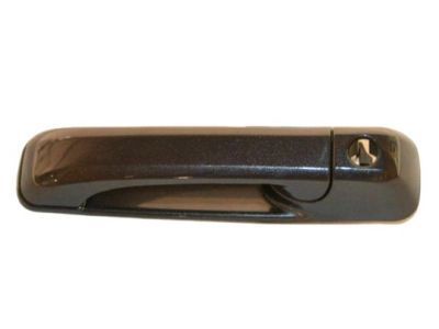 Ram 1GH21LAUAF Handle, Outside